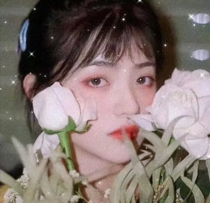 小公主艾薇拉与神秘王国